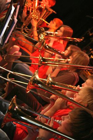 Tiefblechregisters des Jugendorchesters Die Musiker des Tiefblechregisters des Jugendorchesters beim Sommerkonzert 2010